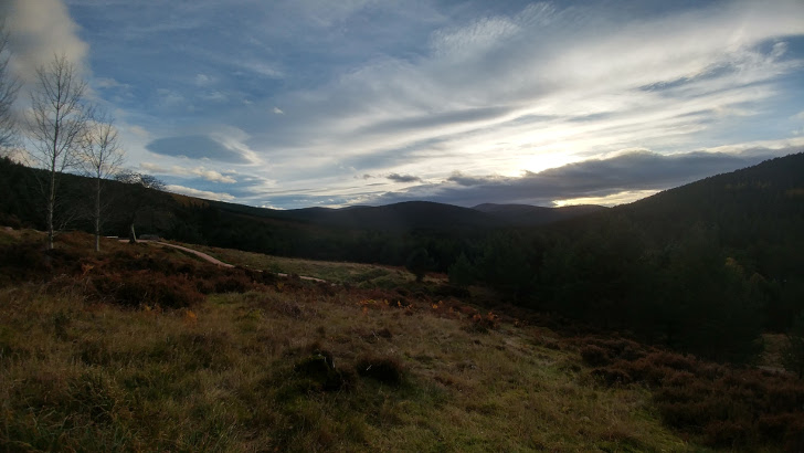 Viewpoint - Cairngorms National Park Travel Guide - Mahlow the Greyhound