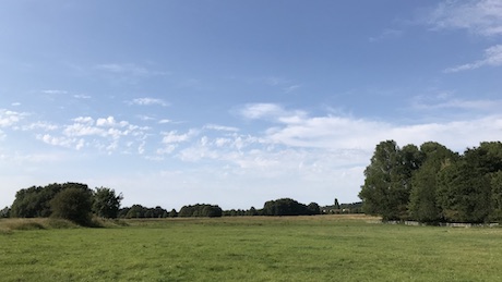 West Common, Lincoln - Dog Walks Near Me
