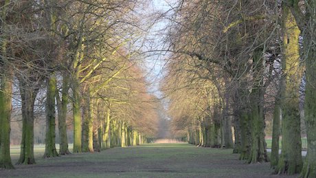 Marbury Country Park, Northwich, Cheshire - Dog Walks Near Me