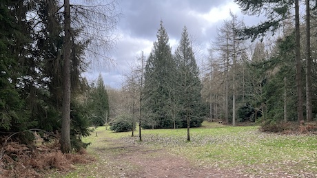 Wyre Forest, Bewdley - Dog Walks Near Me